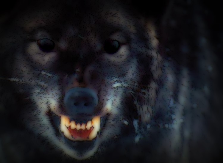 Snarly Yowl