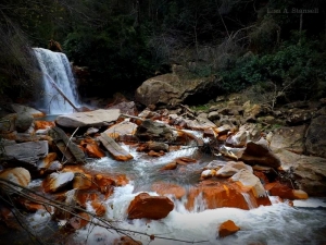 Douglas Falls near Thomas, West VIrginia