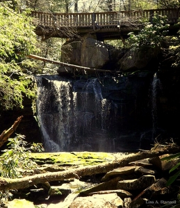 Elakala Falls