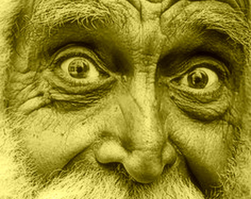 Did a lunatic discover West Virginia The unnamed eccentric who first saw West Virginia soon inspired others to follow.
