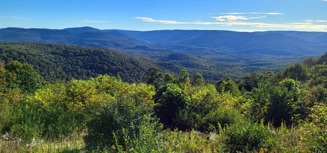 Highland Scenic Highway The summits of the Yew Mountains rise to more than 4,500 feet along the Highland Scenic Highway.