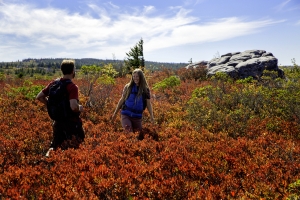 Hikers At Dolly Sods in West Virginia