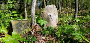 Northern Panhandle of West Virginia on the Ellicott Line