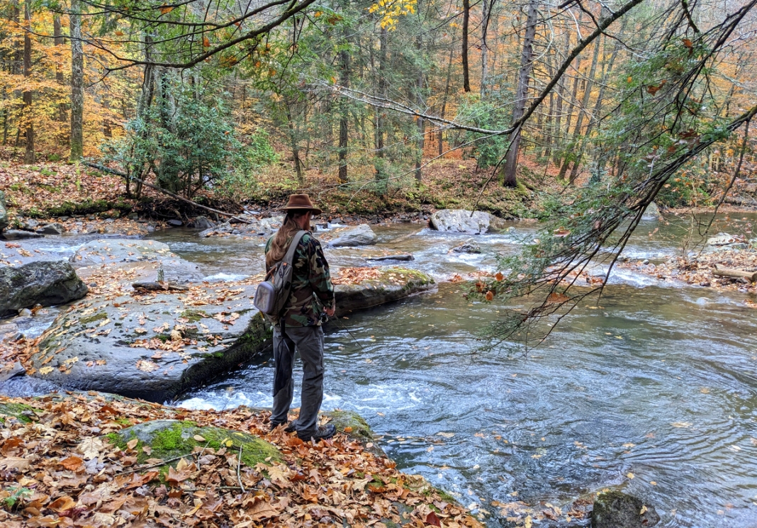 WVU biologist fishing West Virginia stream A WVU student found tiny plastic particles that present potential human health risks in every sampled fish.