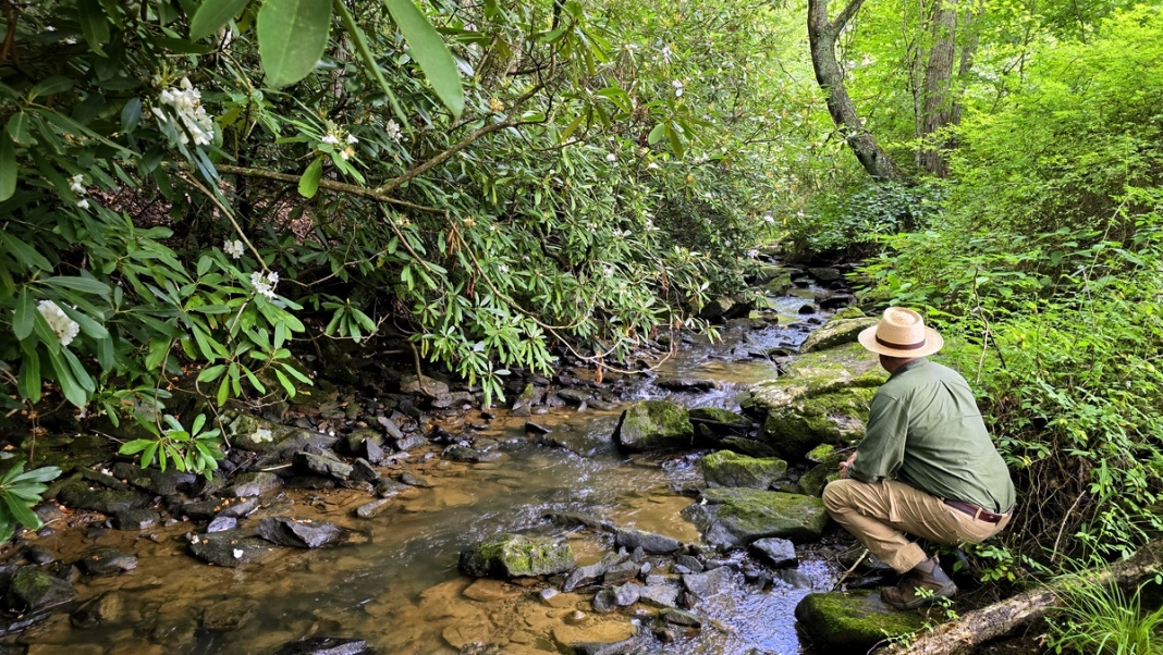 Barkers Creek at Basin, West Virginia A catch-and-release trout stream, Barkers Creek babbles on its way past the McKinney Homestead.