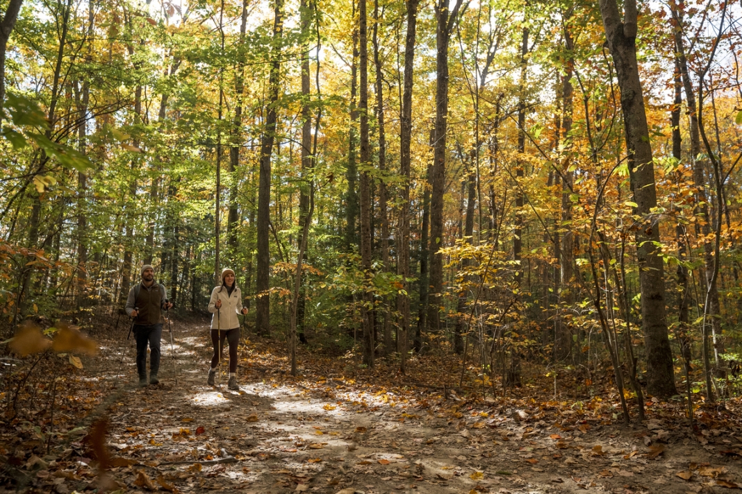 September in West Virginia September in West Virginia: Woodland Walks